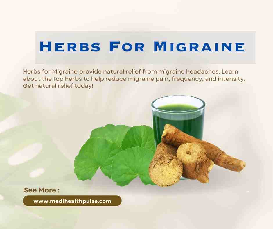 Herbs For Migraine MediHealthPulse